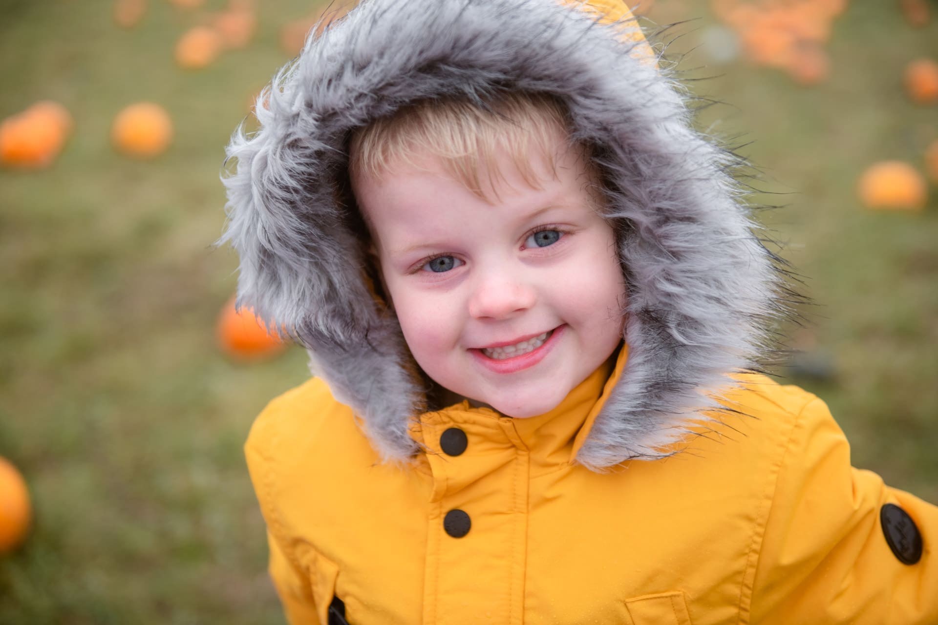Family Photographer The Lavender Fields Hitchin