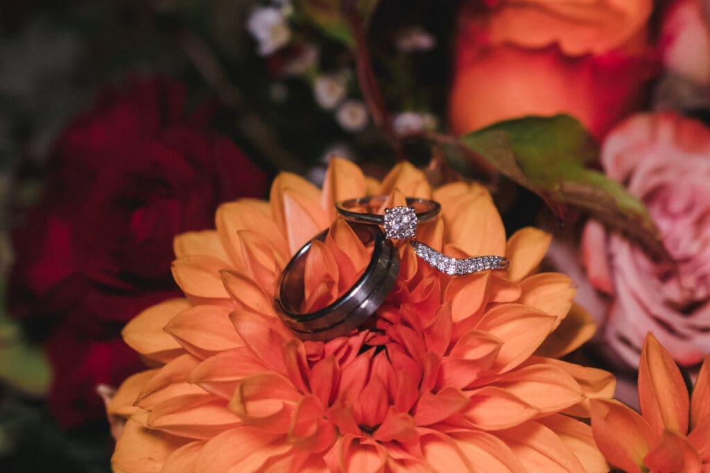 Sheene Mill Weddings in Cambridgeshire - close of the the wedding rings on an orange dahlia bloom